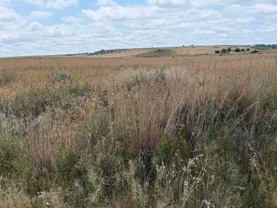 0 Bedroom Property for Sale in Lindley Rural Free State